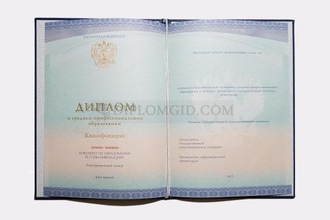 диплом среднее образование 2014-2025